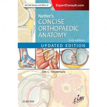 Netter's Concise Orthopaedic Anatomy Updated Edition Netter Basic Science