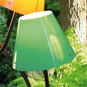 Tête de Lumière Vert Octopus