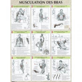 Musculation des bras planche plastifiée