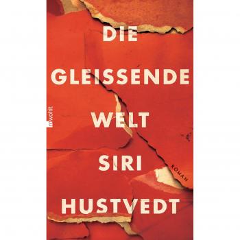 Hustvedt, Siri: Die gleißende Welt