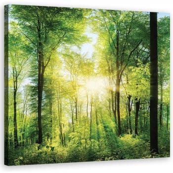 Cuadro Verde Bosque 30x30