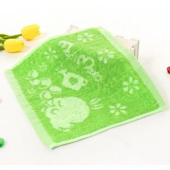 Jacquard Water Absorbent Washcloth