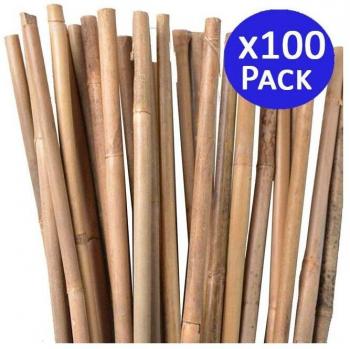 Set Tutori di Bambù (105 cm) – 100 Supporti per Giardinaggio