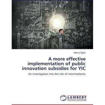 A more effective implementation of public innovation subsidies for YIC: An investigation into the role of intermediaries