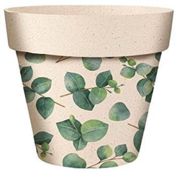 Eucalyptus Bamboo Cover 6 cm