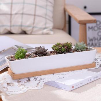 Minimalist White Porcelain Flower Pot with Bamboo Shelf