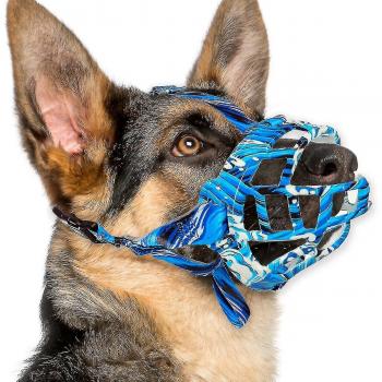 Museau anti-mastication pour chiots et chiens adultes