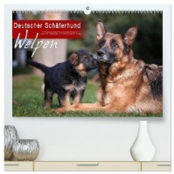 Deutscher Schäferhund