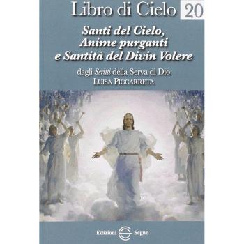 Libro di cielo. Santi del cielo, anime purganti e santità del Divin volere