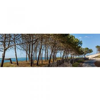 Peinture Imprimée Arbres Arcachon 45x135