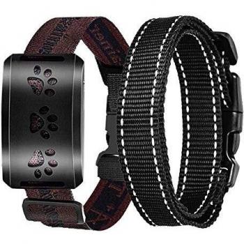 Collier anti-abboyage chien rechargeable multi‑mode