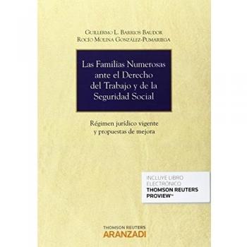 Familias numerosas ante el Derecho del Trabajo y de la Seguridad Social
