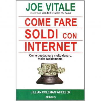 Come fare soldi con internet. Come guadagnare molto denaro, rapidamente!