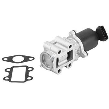 Válvula EGR de Alta Calidad Wahler 710934R