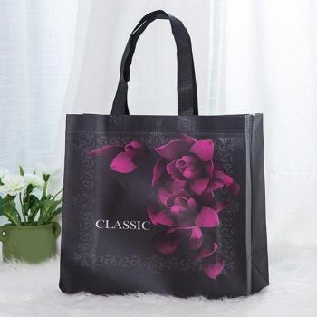 Non-woven Portable Storage Bag