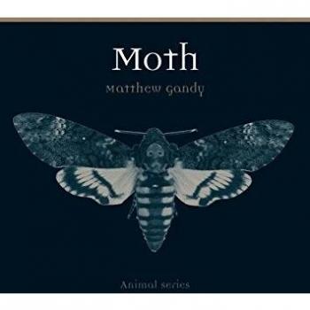 Moth
