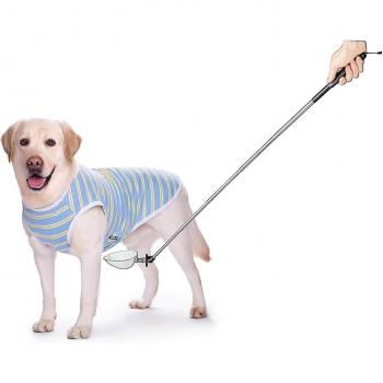 Bâton de Collecte d'Urine Canine