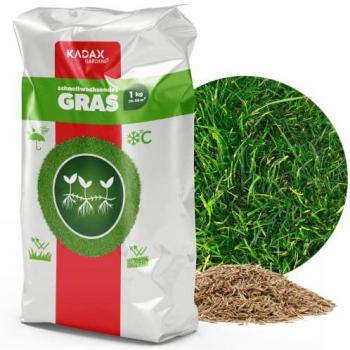 KADAX Widerstandsfähige Grassamen, 1 kg