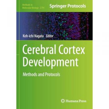 Cerebral Cortex Development