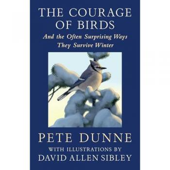 Pete Dunne The Courage of Birds