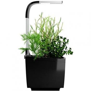 T3 Kitchen Garden Negro