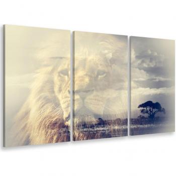 Roi Lion Reflet Triptyque – tableau d’animaux