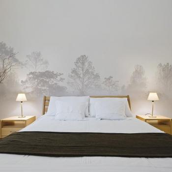 Paysage de Brume