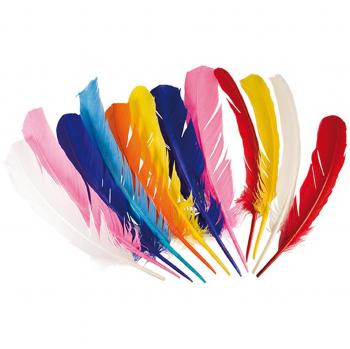 Plumes colorées indiennes