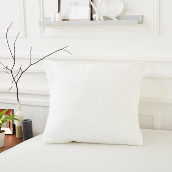 SweetNight Lot de 2 Housses de Coussin Anti-Acariens 65x65