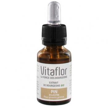 VitaFlor Extrait de Bourgeons Bio Pin Sylvestre 15 ml