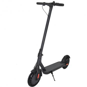 MONOPATTINO ELETTRICO MYKOL 10” 350W 3h ricarica