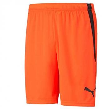 Puma Performance Fokus Herren Shorts