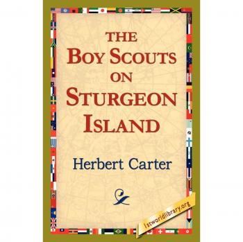 The, Boy Scouts on Sturgeon Island