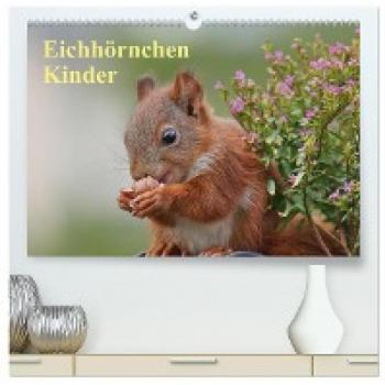 Premium Eichhörnchen Kinder Wandkalender 2024