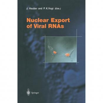 Nuclear Export of Viral RNAs