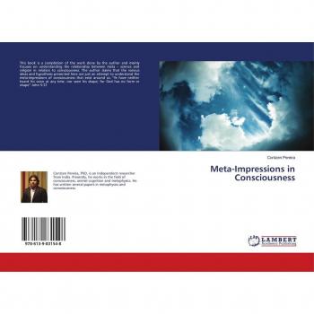 Meta-Impressions in Consciousness
