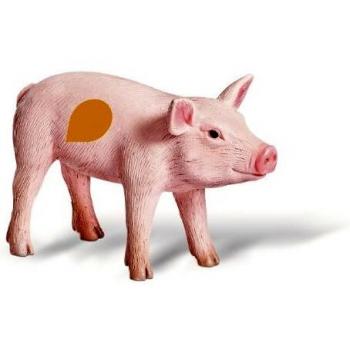 Ravensburger Tiptoi Boerderij Geluiden Big