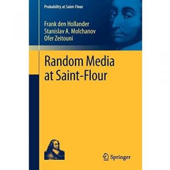 Random Media at Saint-Flour