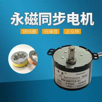 Permanent Magnet Synchronous Motor 50 KTYZ