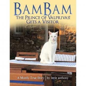 BamBam the Prince of Valprivas! Gets a Visitor: A Mostly True Story