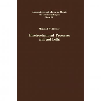 Electrochemical Processes in Fuel Cells (Anorganische und allgemeine Chemie in Einzeldarstellungen, 9, Band 9)