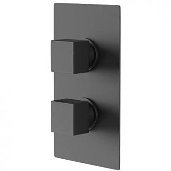 Square Concealed Twin Thermostatic Shower Valve