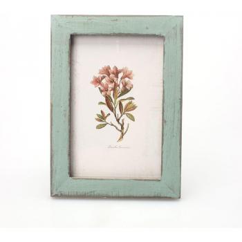 5 Color Home Decor Photo Frames