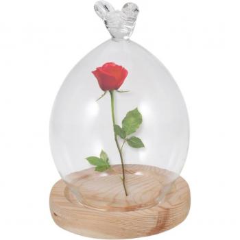 DIY Transparent Glass Cover for Floral Arrangements
