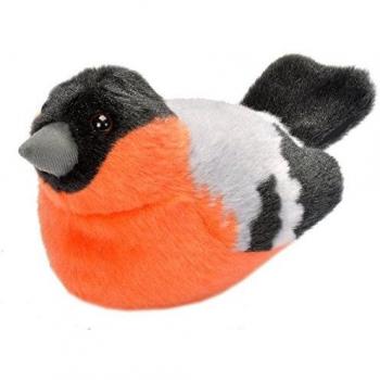 Cardellino Ritmico 13 cm