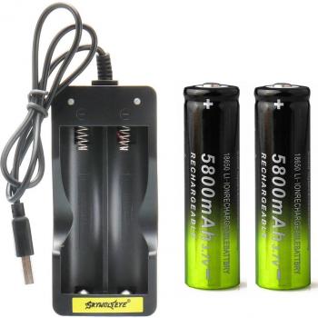 Smart Fast Charge USB Charger + 2x 5000mAh/5800mAh 18650 Batteries