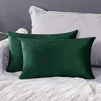 Garden Glam Velvet Pillow Set