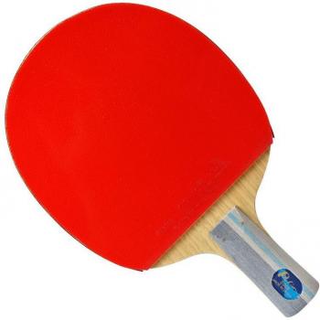 Raquette tendance Palio Tennis de Table CJ8000