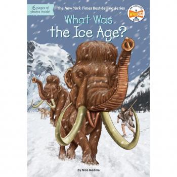 What Was The Ice Age