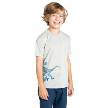 Dare 2b Amuse II Kids T-Shirt in Aqua Grey, 9-10 Years